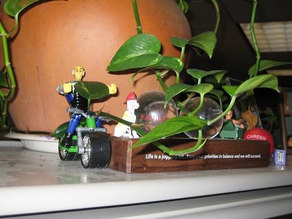 Crash Dummy Award